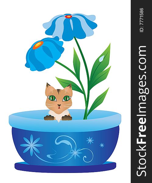 Cute kitten in the flower pot. Cute kitten in the flower pot