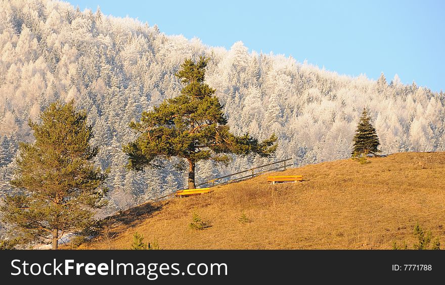 Winter landscape in the light of sunset. Winter landscape in the light of sunset