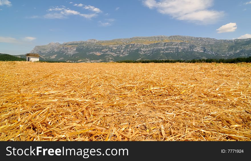 Crop field after harvest with mountains and sky. Crop field after harvest with mountains and sky