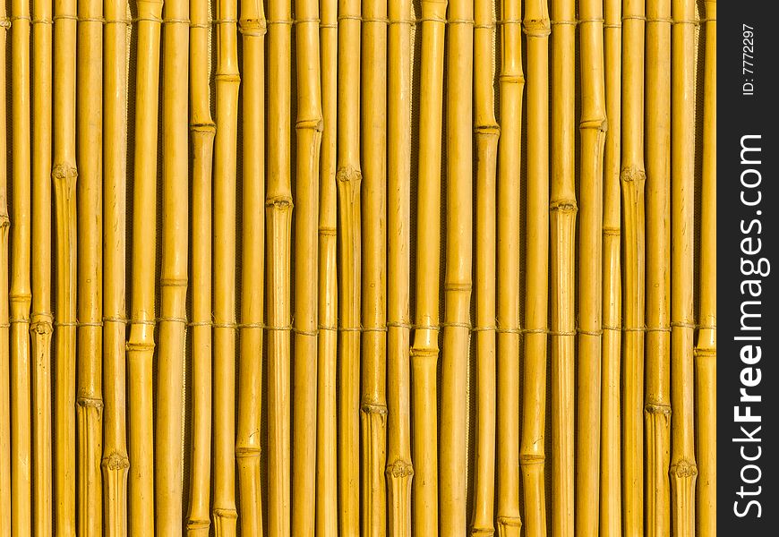 Bamboo tree trunks Ð°bstract background