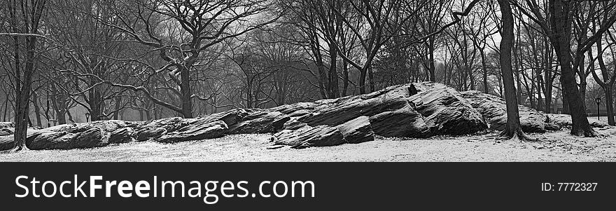 Central Park In The Winter