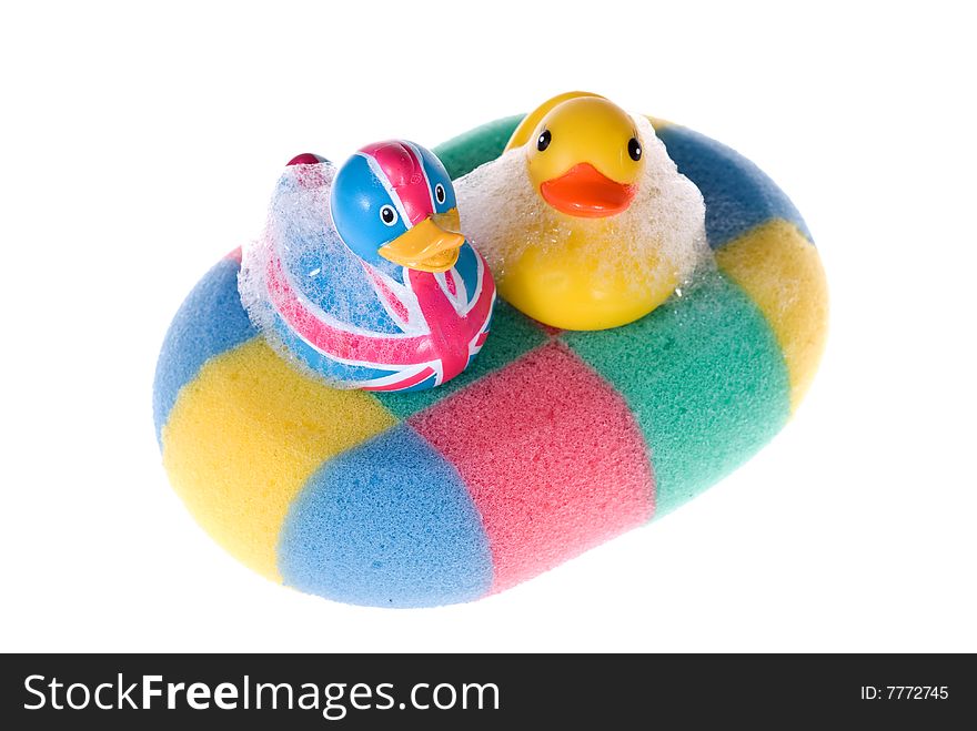 Two rubber duck in white background