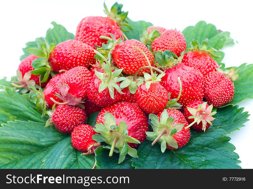 Ripe strawberries on green leaves,  isolated on white. Ripe strawberries on green leaves,  isolated on white