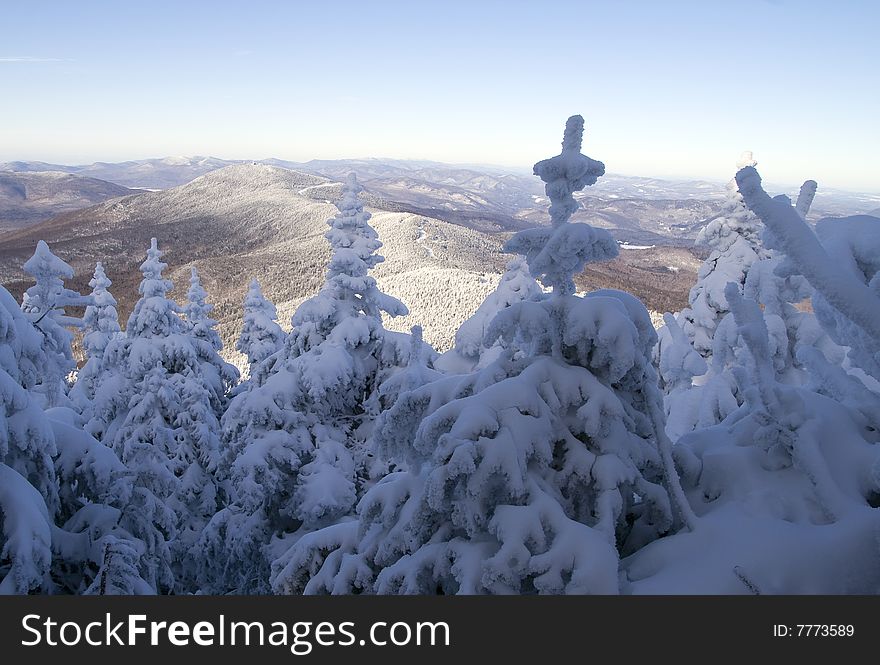 Panoramic view of a frozen forest from the top of a mountain.