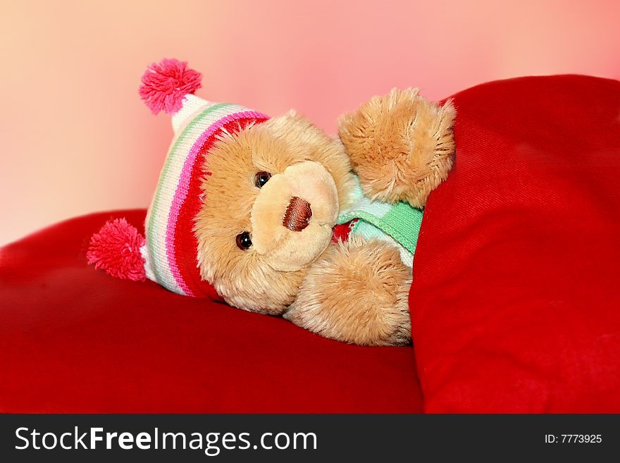 teddy bear in bed