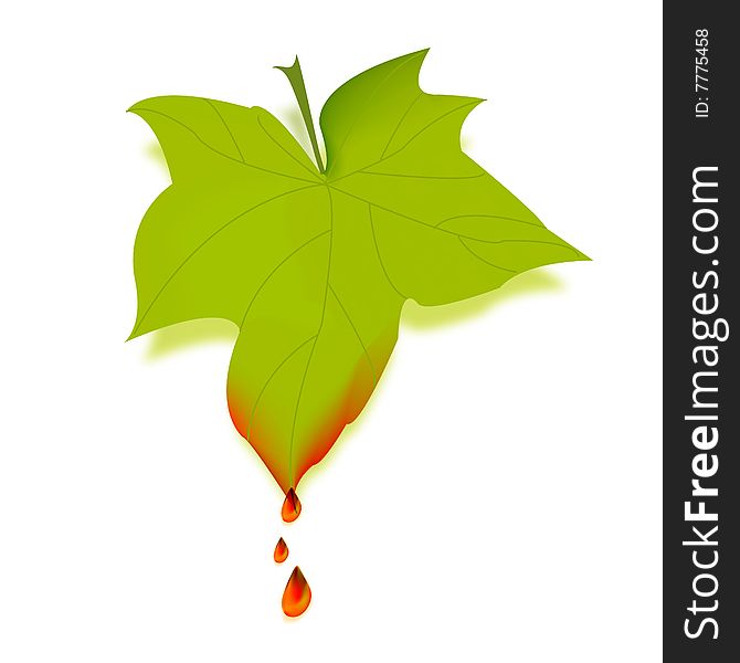 Bleeding and bruised leaf from hurt environment. adobe illustrator file is available
