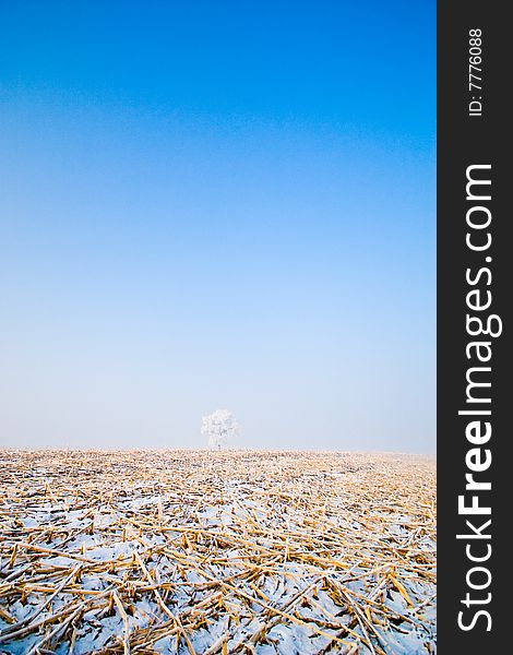 Winter landscape with frosted trees Jilin China