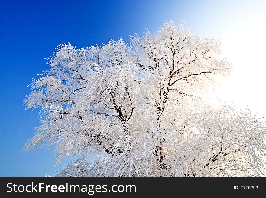 Winter landscape with frosted trees Jilin China