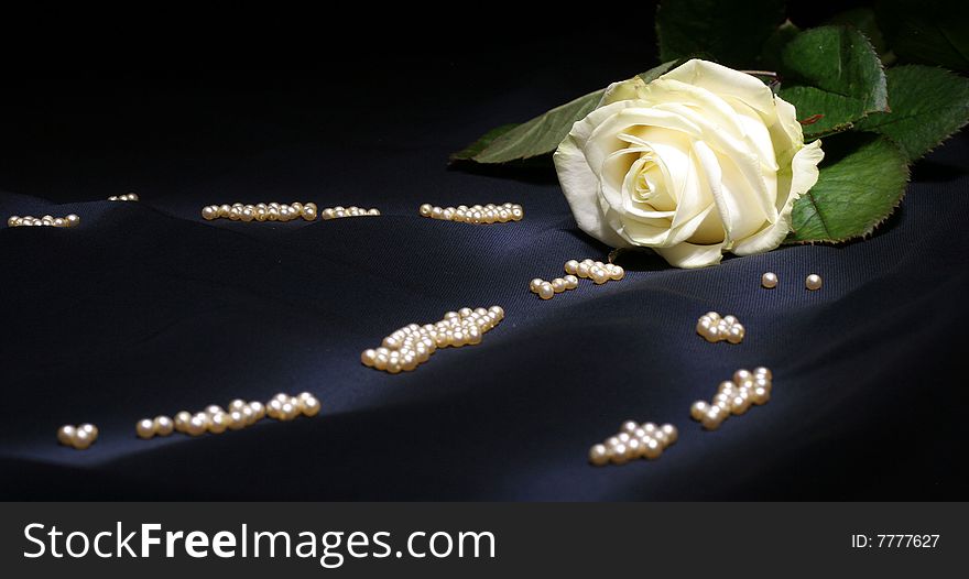 Bud of white roses on a dark fabric with pearls. Bud of white roses on a dark fabric with pearls
