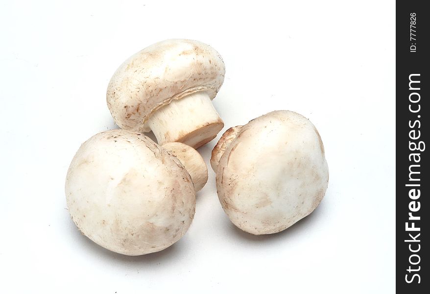 Fresh mushrooms isolated at white