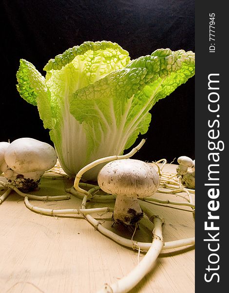 Cabbage and mushroom's microcosm. Cabbage and mushroom's microcosm