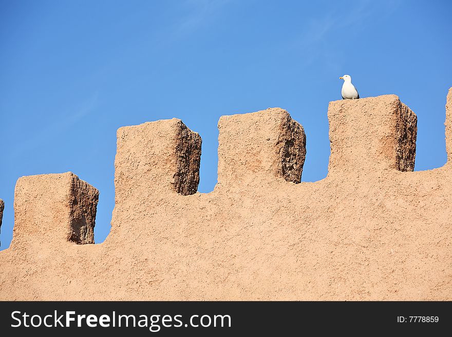 Fortress wall and lonely seagull