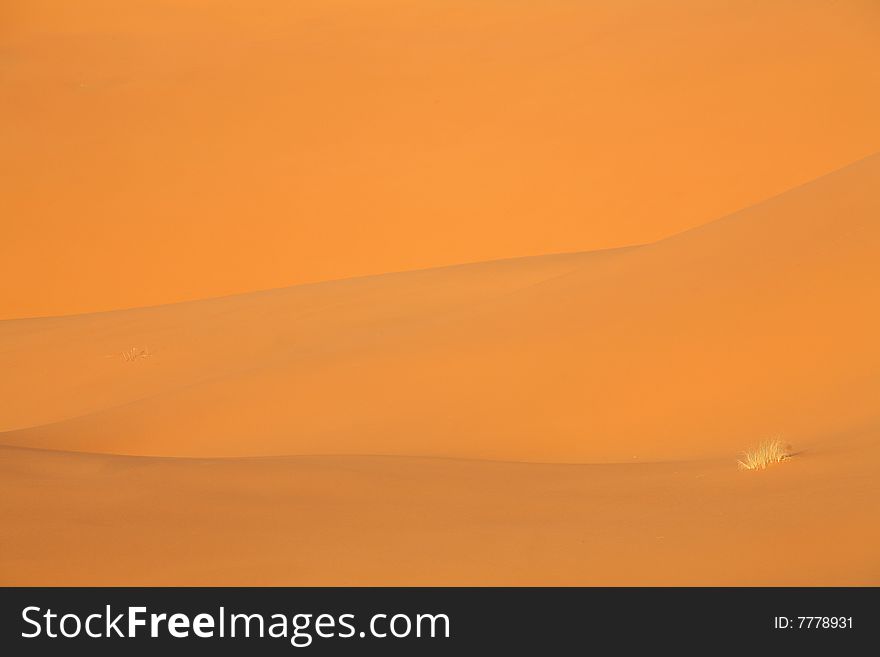 Sahara desert - magic colors during sunrise