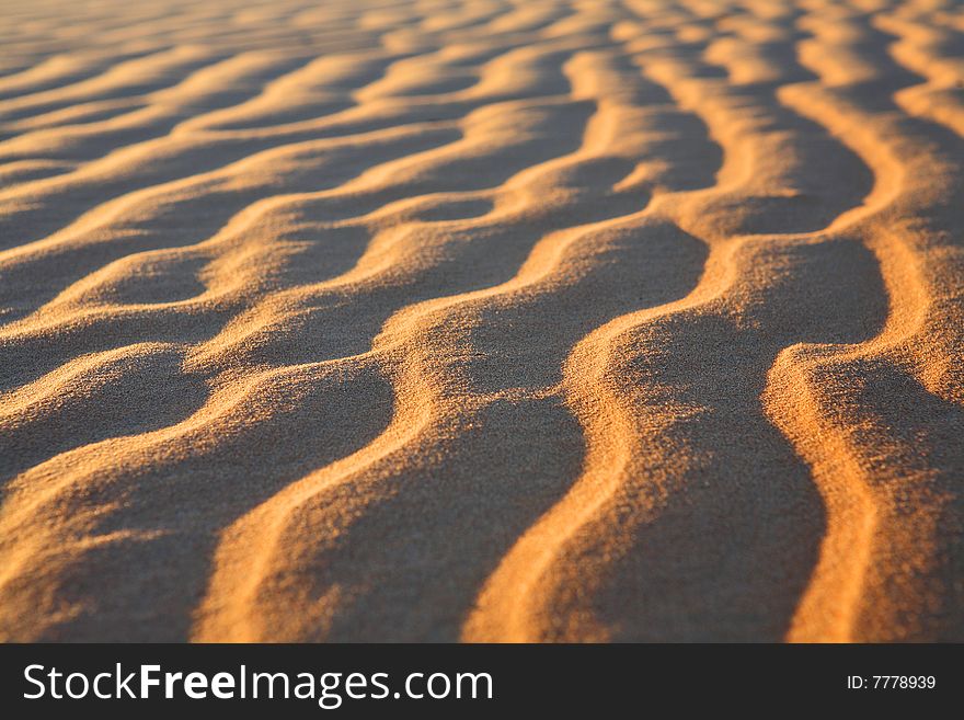 Sahara sand desert - rippled background. Sahara sand desert - rippled background