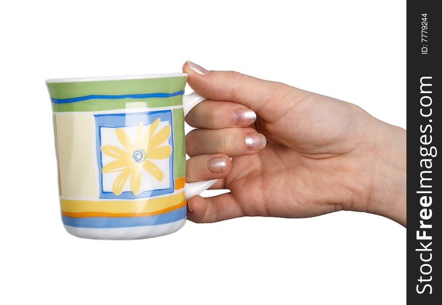 Cup  In Female Hands