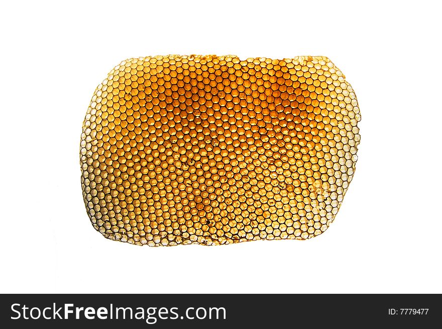 Bee honeycombs on white background