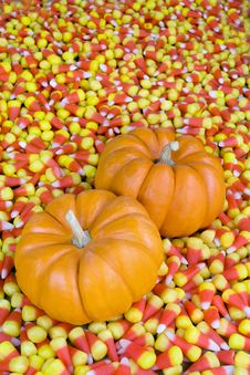 Mini Pumpkins In Candy Corn Royalty Free Stock Images Mini Pumpkins In Candy Corn Royalty Free Stock Images