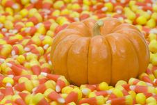 Mini Pumpkin In Candy Corn Stock Photos Mini Pumpkin In Candy Corn Stock Photos