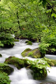 Oirase-gawa River Stock Photos Oirase-gawa River Stock Photos