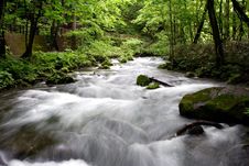 Oirase-gawa River Royalty Free Stock Photography Oirase-gawa River Royalty Free Stock Photography