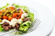 Chicken Salad Stock Image