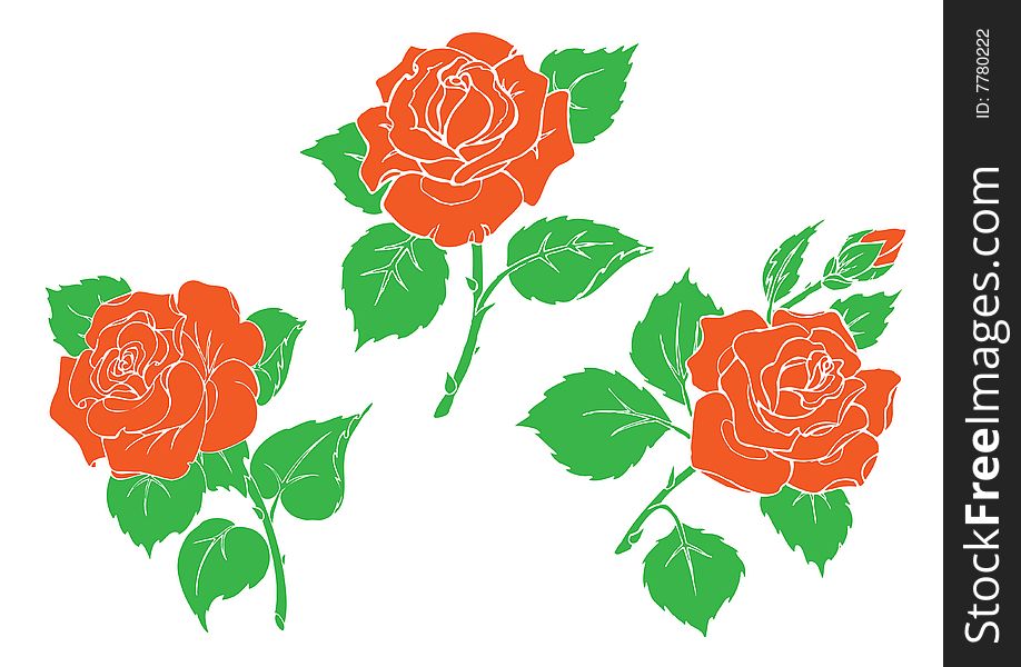 Red roses. There is in addition a vector format (EPS 8). Red roses. There is in addition a vector format (EPS 8).