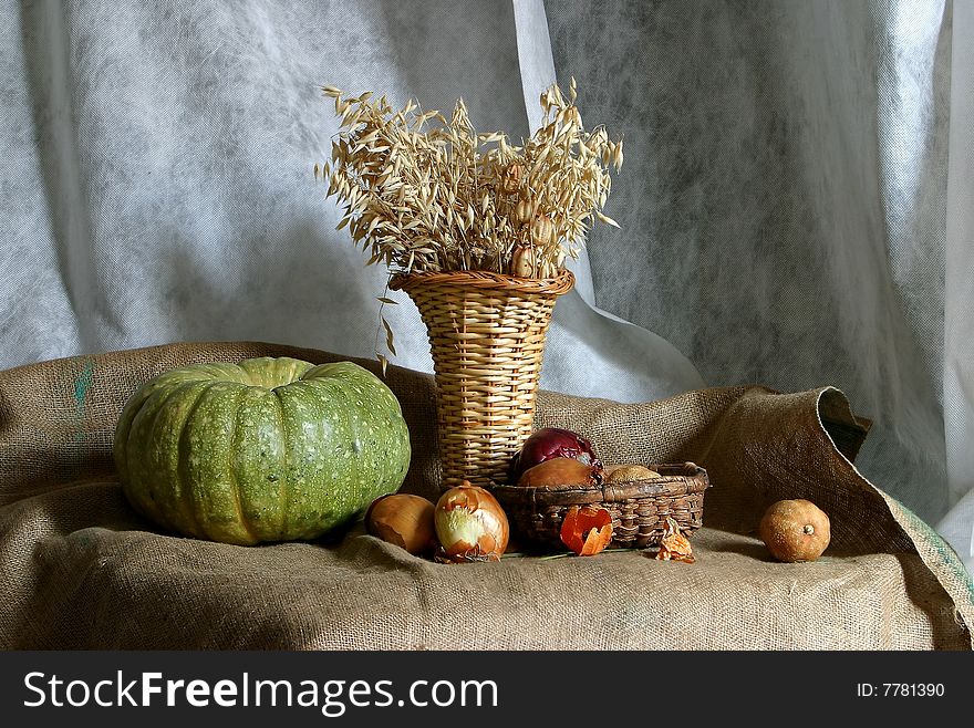 Still life with the pumpkin. Still life with the pumpkin