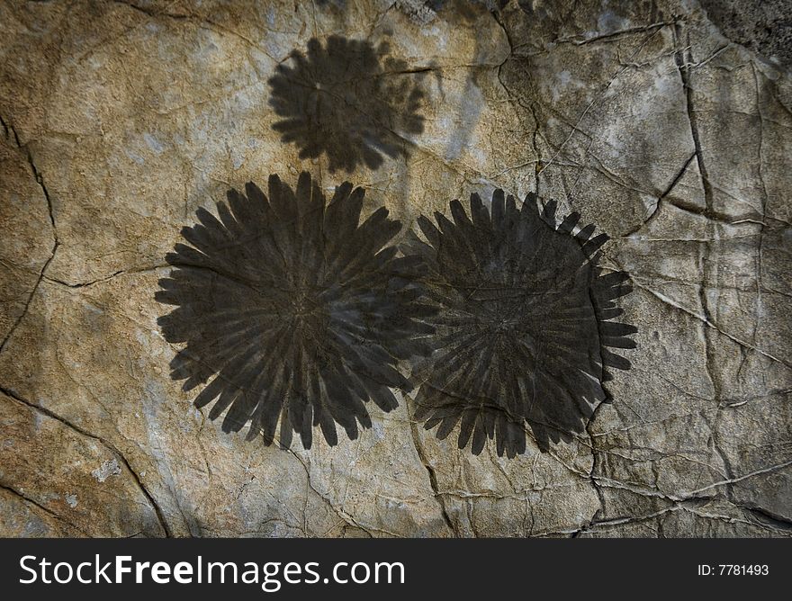 The shadows of three dandelions on a structured wall. The shadows of three dandelions on a structured wall.