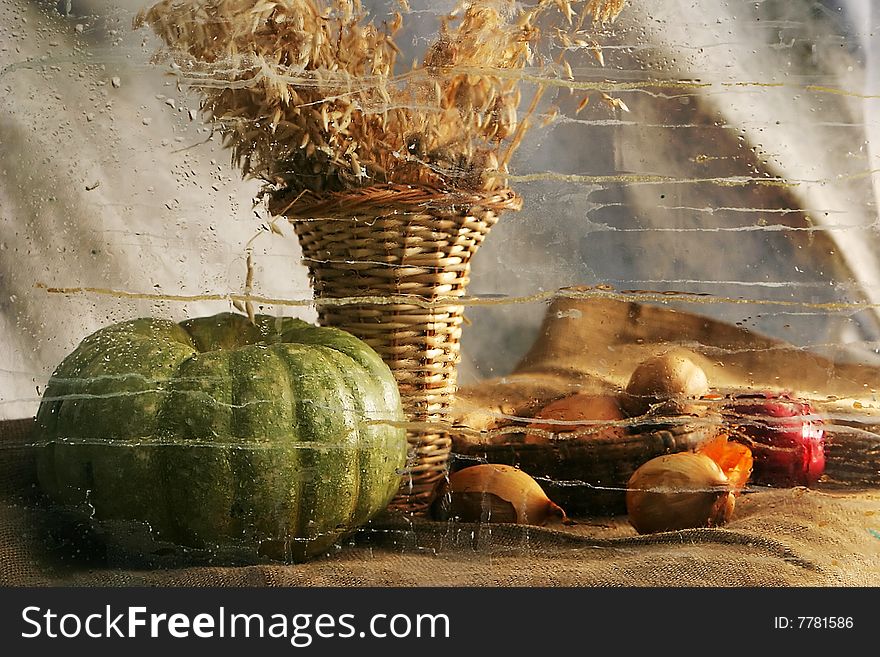 Still life with the pumpkin. Still life with the pumpkin