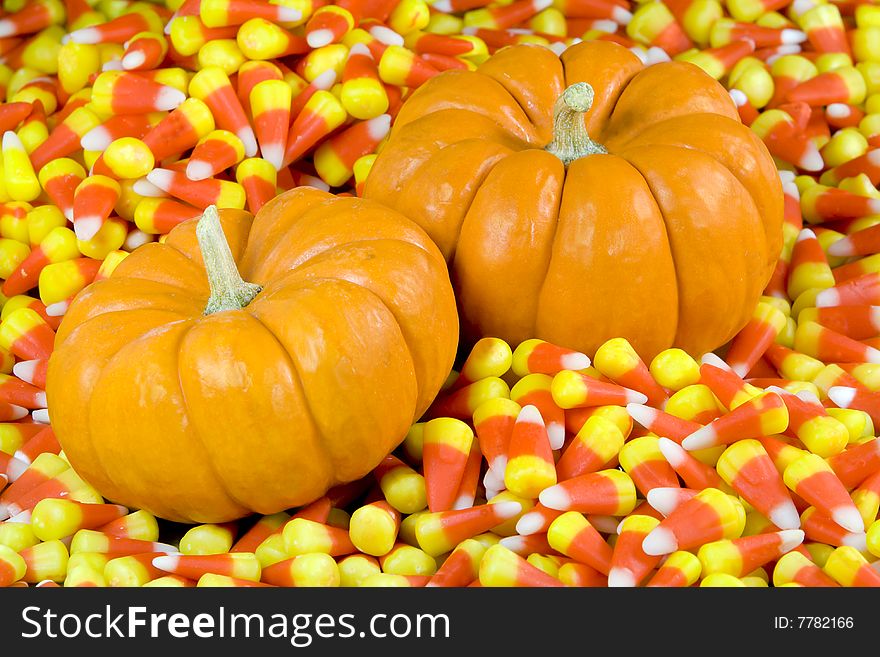 Two mini pumpkins in a field of candy corn. Two mini pumpkins in a field of candy corn.