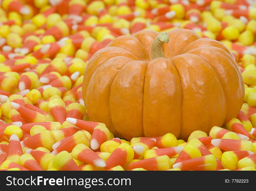 Two mini pumpkin in a field of candy corn. Two mini pumpkin in a field of candy corn.