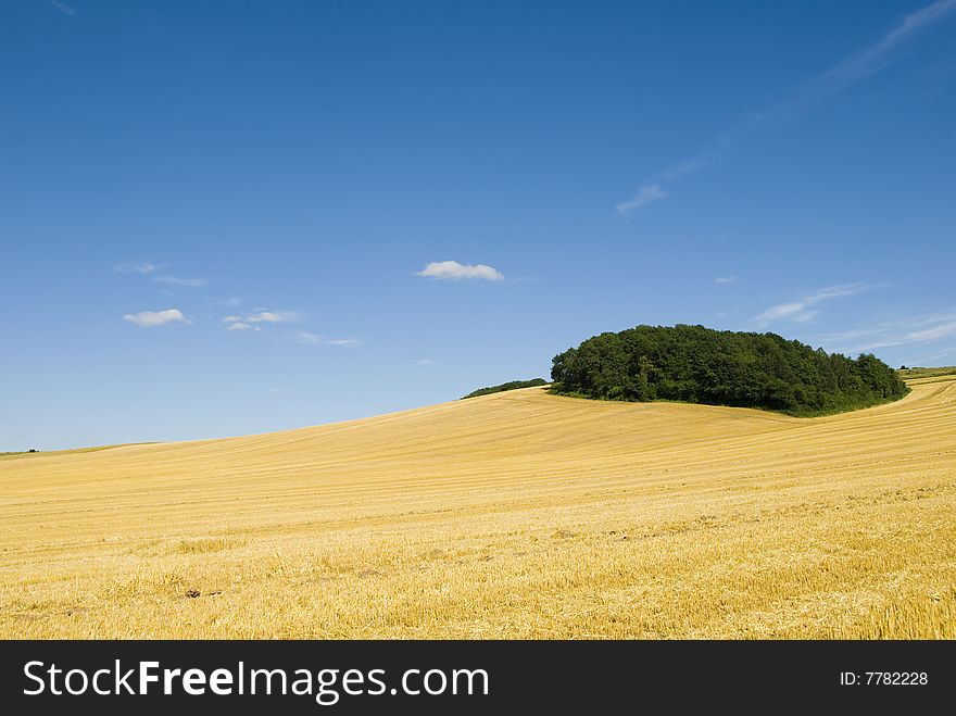 Harvested field in summertime with a forest in the background. Harvested field in summertime with a forest in the background