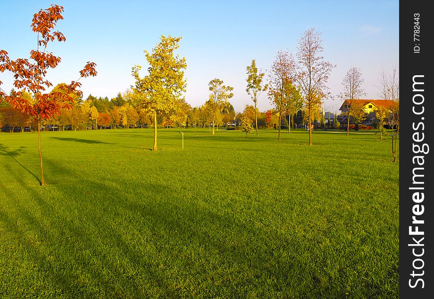 Green Lush Park