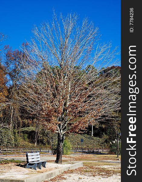 An empty bench in a park in winter. An empty bench in a park in winter