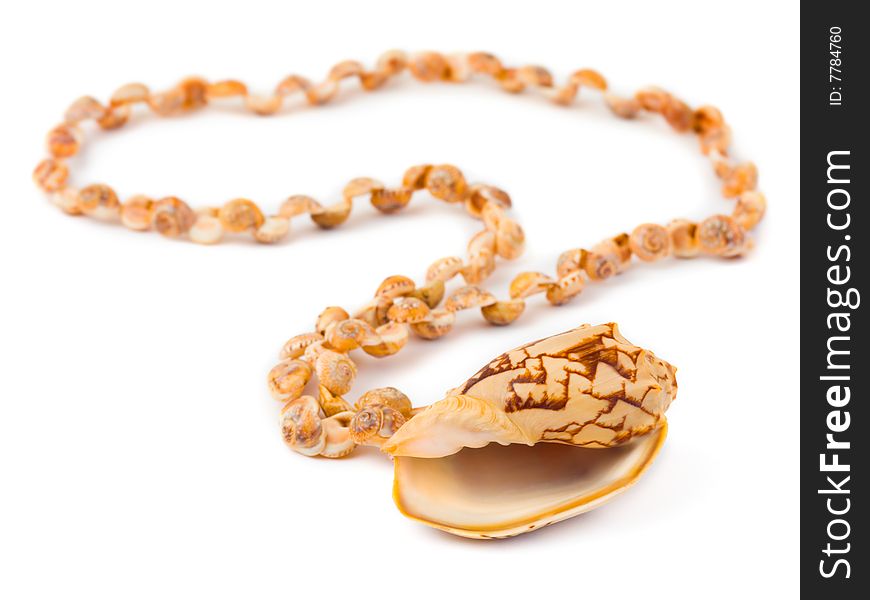 Necklace made of sea shell