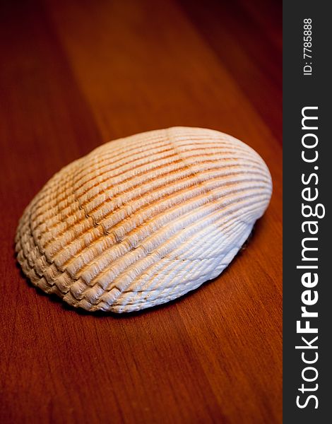 A scallop piece rests on a red wood table under tungsten lighting. A scallop piece rests on a red wood table under tungsten lighting.