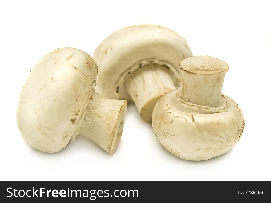 Mushrooms Isolated On A White Background