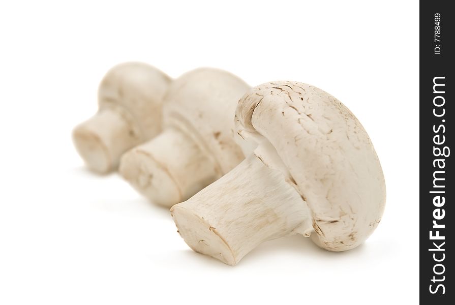 Fresh mushrooms isolated on a white background