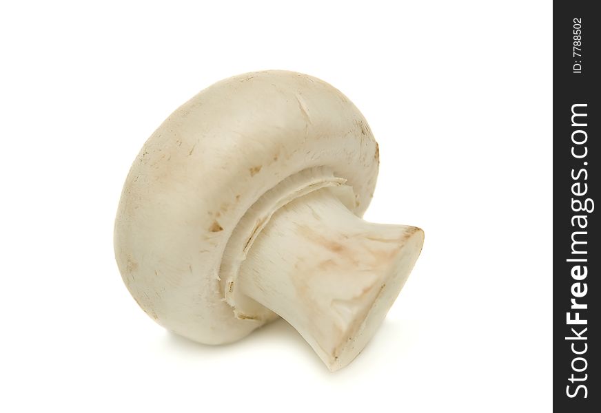 Mushrooms isolated on a white background