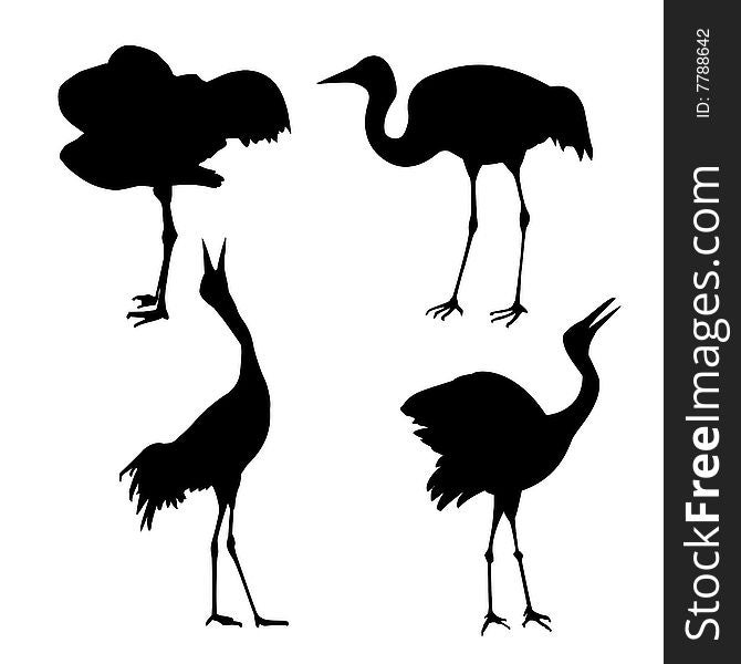 Vector silhouette of the cranes on white background