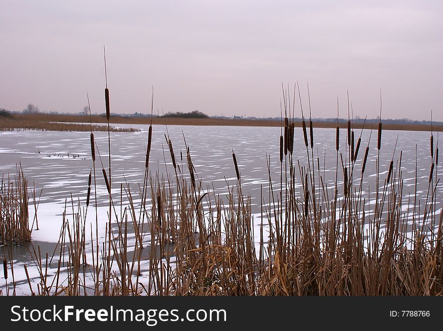 Frozen Lake