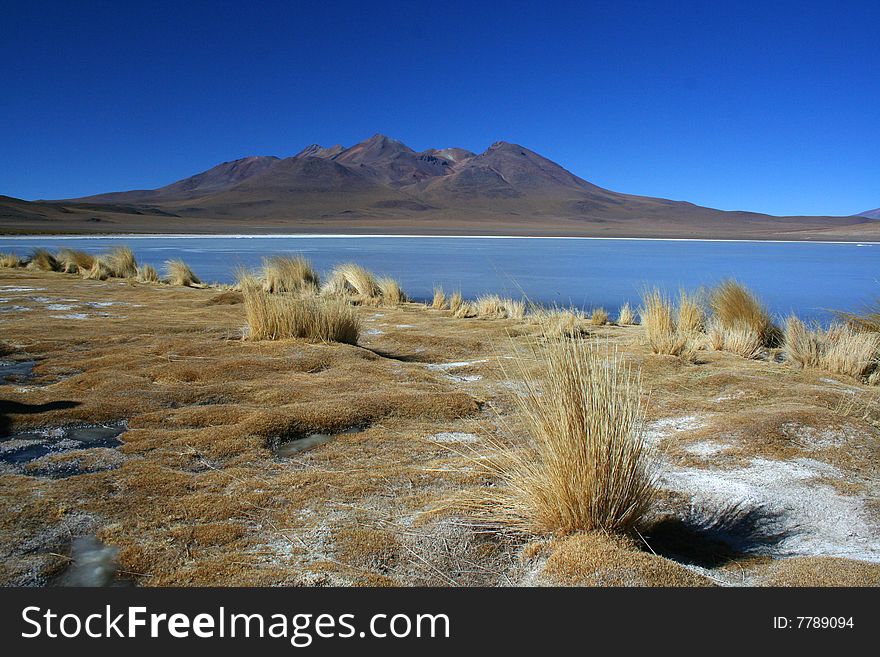 Frozen lake in desert (salar - bolivia)