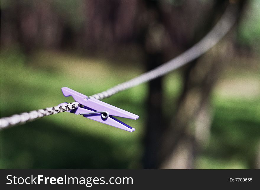 Clip on the rope in garden