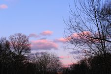 Evening Sky With Silhouettes Of Trees Stock Photos