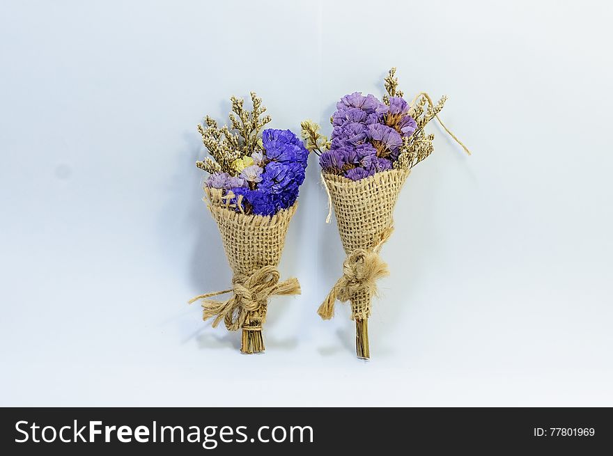 Dry Cutter Flowers