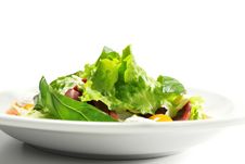 Salad - Smoked Magret With Red Chaud-Froid Sauce Stock Image