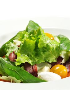 Salad - Smoked Magret With Red Chaud-Froid Sauce Stock Photos