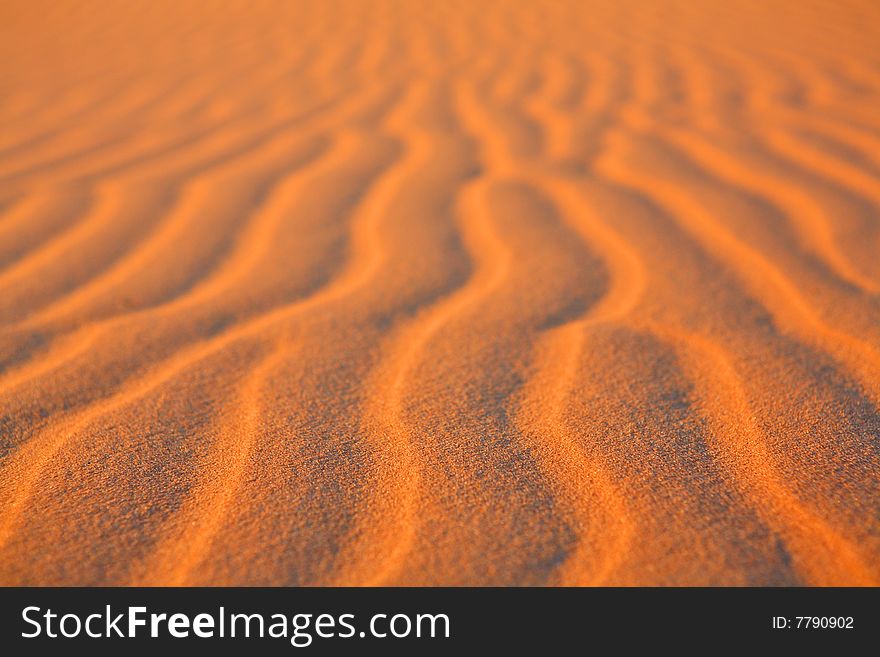 Sahara sand desert - rippled background. Sahara sand desert - rippled background