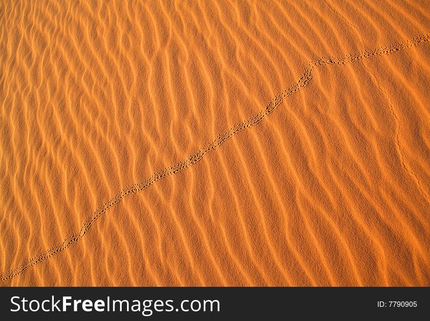Sahara desert background