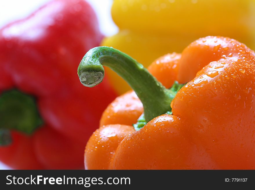 Close up bright colorful pepper. Close up bright colorful pepper